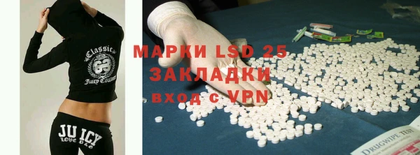 ПСИЛОЦИБИНОВЫЕ ГРИБЫ Ельня