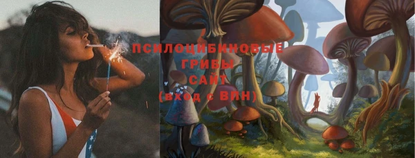 героин Елабуга