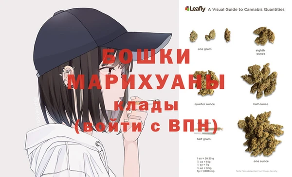 дживик Елизово
