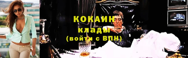 дживик Елизово