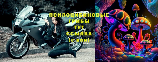 дживик Елизово