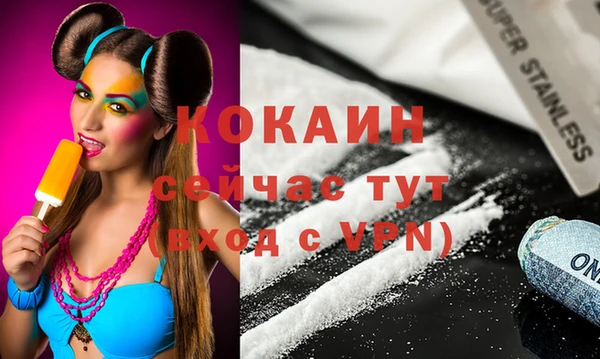 ПСИЛОЦИБИНОВЫЕ ГРИБЫ Ельня