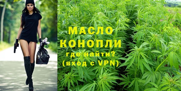 ПСИЛОЦИБИНОВЫЕ ГРИБЫ Ельня