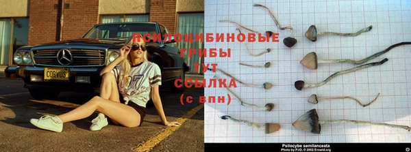 героин Елабуга
