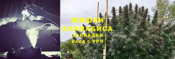 ПСИЛОЦИБИНОВЫЕ ГРИБЫ Ельня