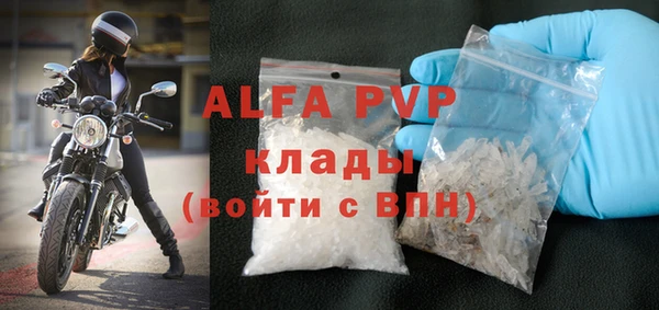 ПСИЛОЦИБИНОВЫЕ ГРИБЫ Ельня