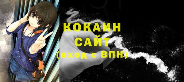 ПСИЛОЦИБИНОВЫЕ ГРИБЫ Ельня